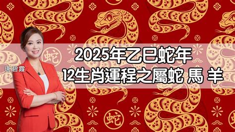 55年生肖|蘇民峰2025蛇年運程｜12生肖屬雞、狗、豬、鼠財運+愛情運+化 